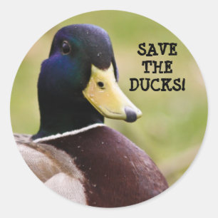 Spara Ankor Sticker Runt Klistermärke