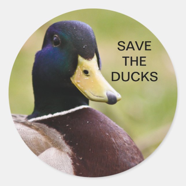 Spara Ankor Sticker Runt Klistermärke (Framsida)