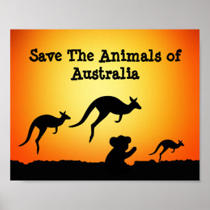 Spara Australiens djur Poster