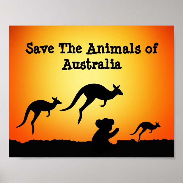 Spara Australiens djur Poster (Framsidan)