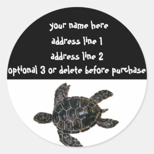 Spara av Adressetiketterna i Turtles Runt Klistermärke