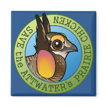 Spara av Attwater's Prairie Chicken