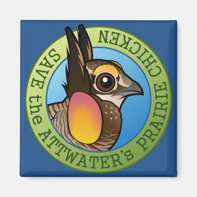 Spara av Attwater's Prairie Chicken Magnet (Framsidan)