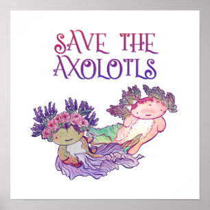 Spara av Axolotls,Axolotl,Salamander Poster