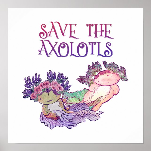 Spara av Axolotls,Axolotl,Salamander Poster (Framsidan)