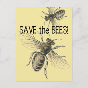 Spara av Béernas Vintage Bee Bilder Vykort