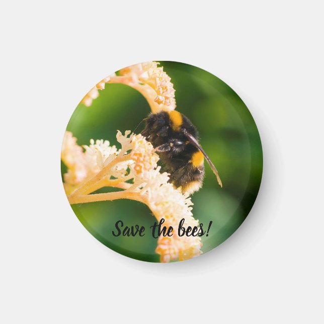 "Spara av bin" Bin på en blommagnet Magnet (Framsidan)