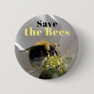 Spara av bin Bumblebin på knappen Apple Blommar Knapp