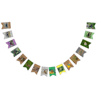 Spara av Butterflies Birthday Banner Vimplar