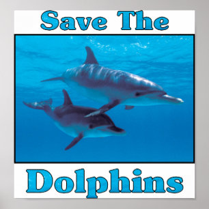 Spara av delfiner poster