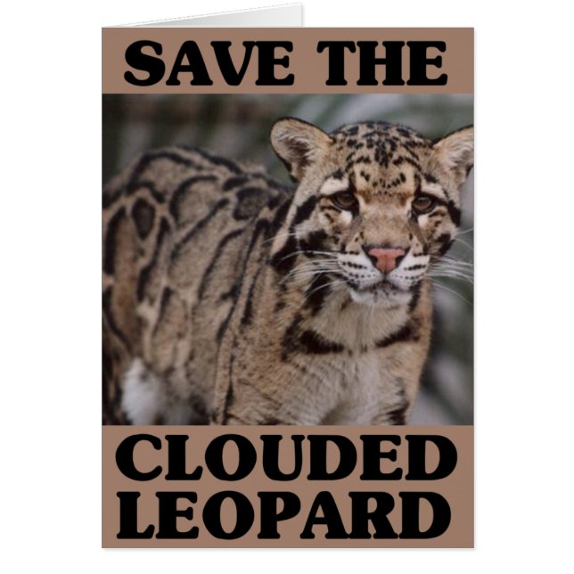 Spara av den Clouded Leopard Hälsningskort (Framsidan)
