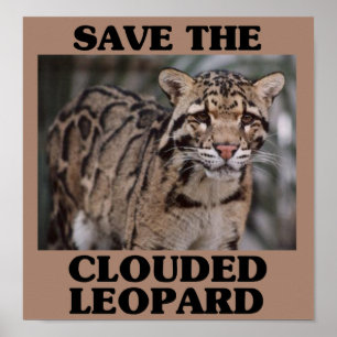 Spara av den Clouded Leopard Poster