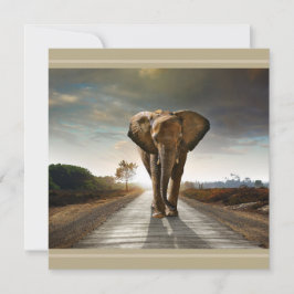 Spara av det hotade Elephant Hi-Def-skrivarkortet