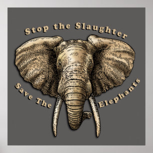 Spara av Elephants Graphic Poster