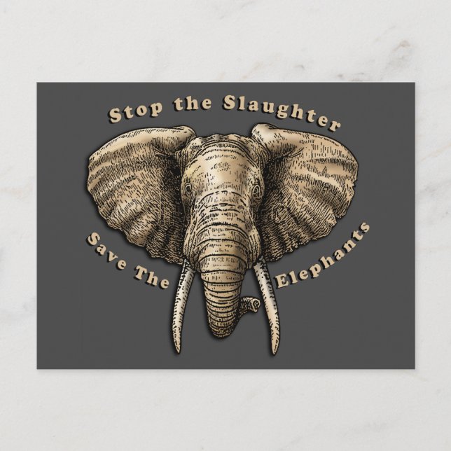 Spara av Elephants Graphic Vykort (Framsida)