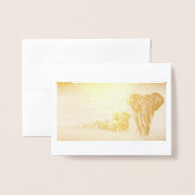 Spara av Elephants-kortet