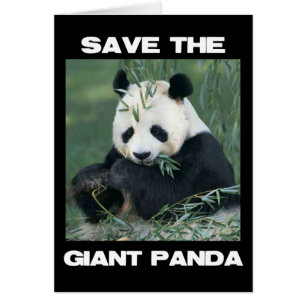 Spara av Giant Panda Hälsningskort