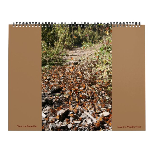 Spara av kalendern Butterflies 2023 Kalender (Omslag)
