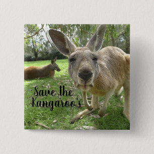 Spara av Kangaroos Knapp