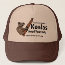 Spara av Koalas