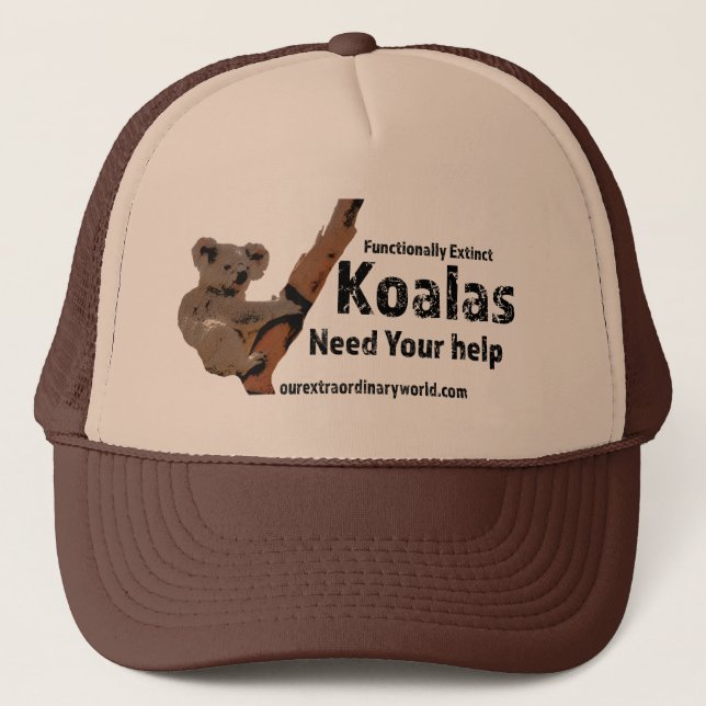 Spara av Koalas Keps (Framsida)