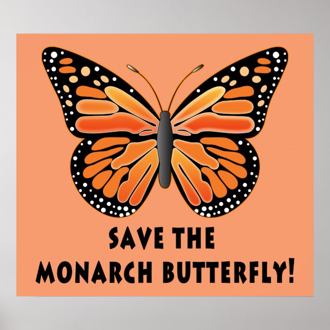 Spara av Monarch Butterfly Poster (Framsidan)
