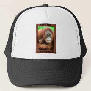Spara av Orangutans Keps