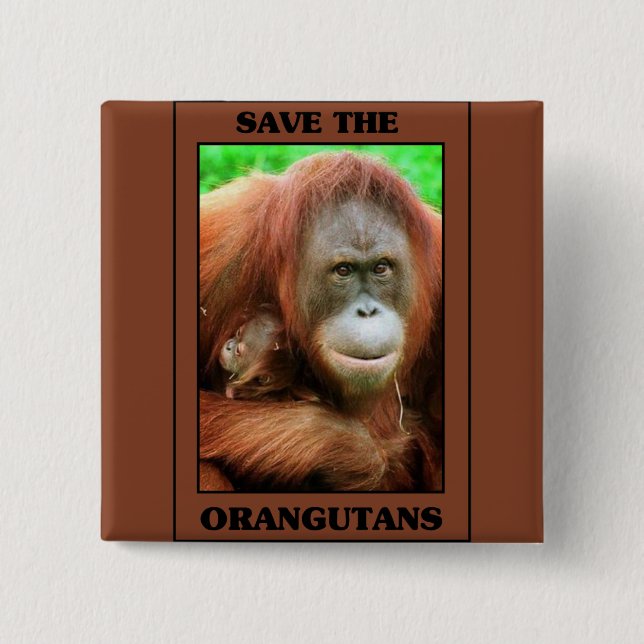 Spara av Orangutans Knapp (Framsida)