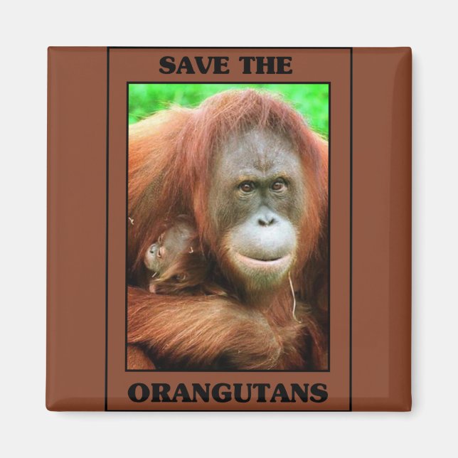 Spara av Orangutans Magnet (Framsidan)