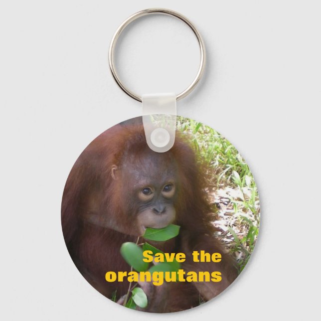 Spara av Orangutans Nyckelring (Framsida)