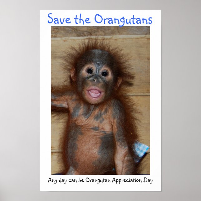 Spara av Orangutans Poster (Framsidan)