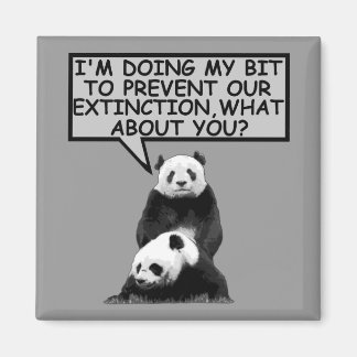 Spara av Panda Magnet