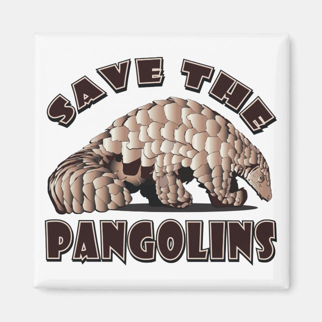 Spara av Pangolins Magnet (Framsidan)