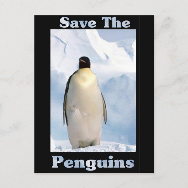 Spara av Penguins Vykort (Framsida)