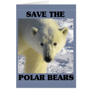Spara av Polarna Bears Hälsningskort