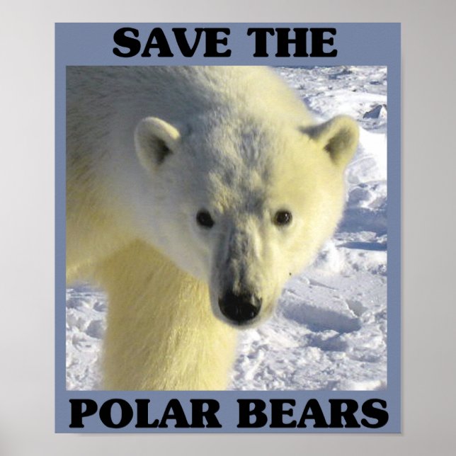 Spara av Polarna Bears Poster (Framsidan)