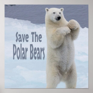 Spara av Polarna Poster