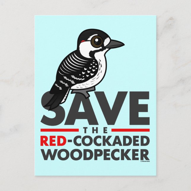 Spara av Red-cockaded Woodpecker Vykort (Framsida)