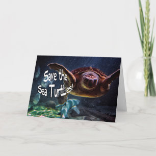 Spara av Sea Turtles Animal Photo Kort