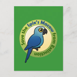 Spara av Spix's Macaw från utsläckningen Vykort