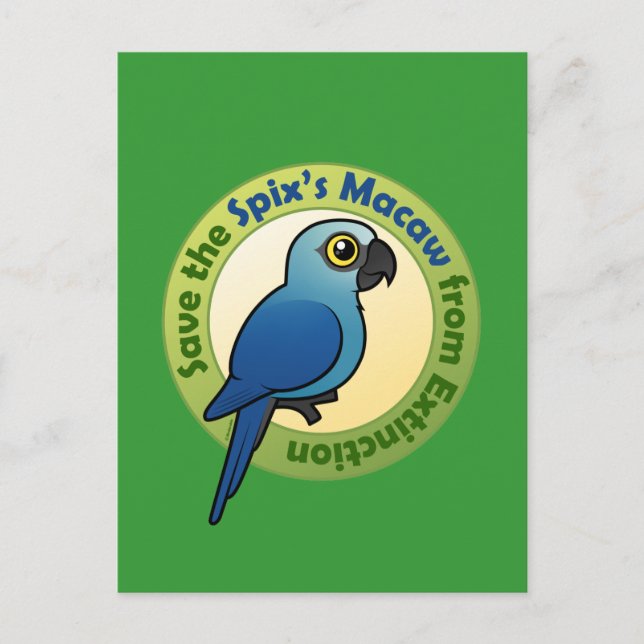 Spara av Spix's Macaw från utsläckningen Vykort (Framsida)