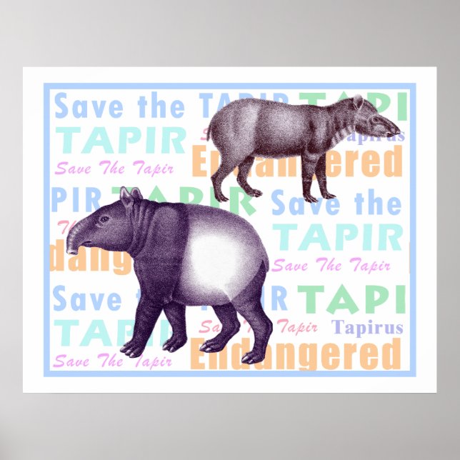 Spara av Tapir-Poster - amerikanska och asiatiska  Poster (Framsidan)