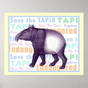 Spara av Tapir-Poster - Asiatisk Tapir Poster