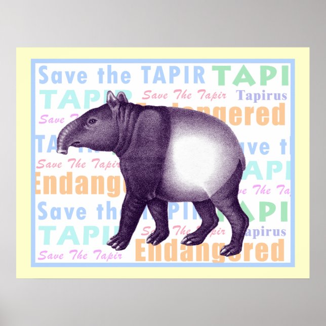 Spara av Tapir-Poster - Asiatisk Tapir Poster (Framsidan)