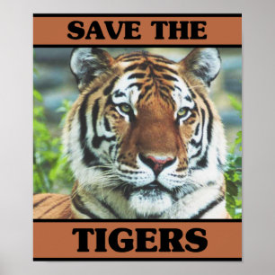Spara av tigrarna poster