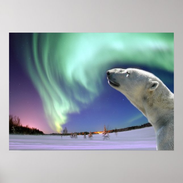 Spara av utrotningshotade Polar Poster (Framsidan)