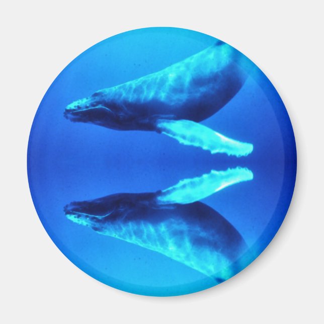 Spara av valarna magnet (Framsidan)