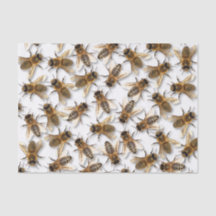 Spara biet! Spara världen! Bo designen