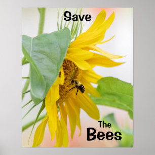 Spara Bina Poster