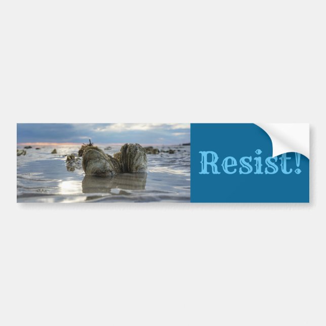 Spara Chesapeakefjärden! Bildekal (Framsidan)